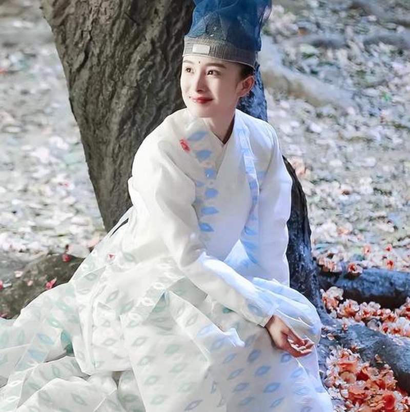 杨幂